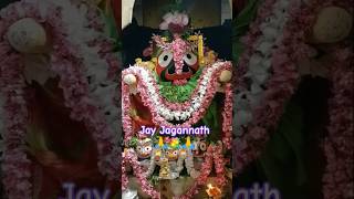 JAY JAGANNATH 🙏💐🙏 NEW ODIA JAGANNATH BHAJAN STATUS VIDEO #shorts #short #jagannathbhajan #jaganath