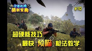 【小苍吃鸡萌新宝典】10：最快预瞄枪法教学