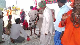 sri sail mallikarjuna padayatra Nagadadinni,,,..