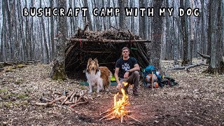 Overnight Bushcraft Camp with My Dog - Shelter from The Rain