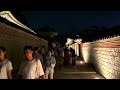 gyeongbokgung palace night tour 4k korea film