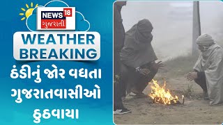 Weather Update News : ઠંડીનું જોર વધતા ગુજરાતવાસીઓ ઠુઠવાયા | Winter News |Gujarati Samachar | News18