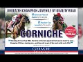 corniche is the coolmore stallion of the week