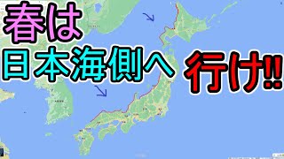 【春の観光スポット】春は日本海側へ行った方が良い理由【旅行】