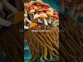 Magic Mushrooms vs. Amanita Muscaria! #Psychedelics #ShamanicTraditions #Psilocybin #shorts