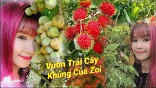 Dã ngoại tại vườn trái cây cực KHỦNG của nhà KHỞI MY với các thành viên lớp học vui nhộn