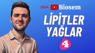 Lipitler | 39 Günde TYT Biyoloji Kampı-4 | 9. Sınıf Biyoloji Kampı-4 yks2024