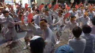 江戸無常／北口通り会場（流し踊り）／ 第3回 小岩阿波おどり 2016