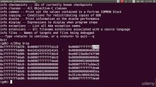 044 Linux Stack Overflows Part 3