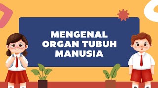 Mengenal Organ Tubuh Manusia