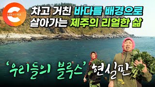 60년 세월을 제주에서 함께 살아온 이름도 똑같은 평생 단짝 '영희와 영희' 🌊' 바다의 어멍으로 살아가는 두 해녀들의 제주 블루스