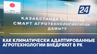 Как климатически адаптированные агротехнологии внедряют в РК