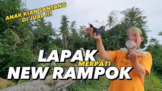 LAPAK BARU NEW RAMPOK