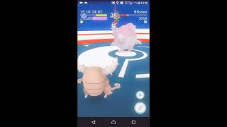 【大甲夾蛋】Pinsir 2260 solo Blissey 3018(Z+H) / 2260大甲 vs 3018幸福蛋(頭槌+死光) Diary#24