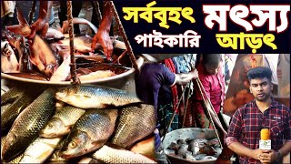 ঐতিহ্যবাহী সর্ববৃহৎ মাছের আড়ৎ | রাজাপুর মৎস্য বাজার | মাছের বাজার | Fish Market | Village Market BD