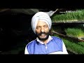 best treatment for sugar ਸੂਗਰ ਦਾ 100% ਇਲਾਜ ਚਮਤਕਾਰੀ ਜੂਸ ਨਾਲ sampuran arogya sankalp sanstha