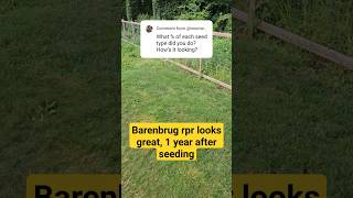 Barenbrug rpr 1 Year Update