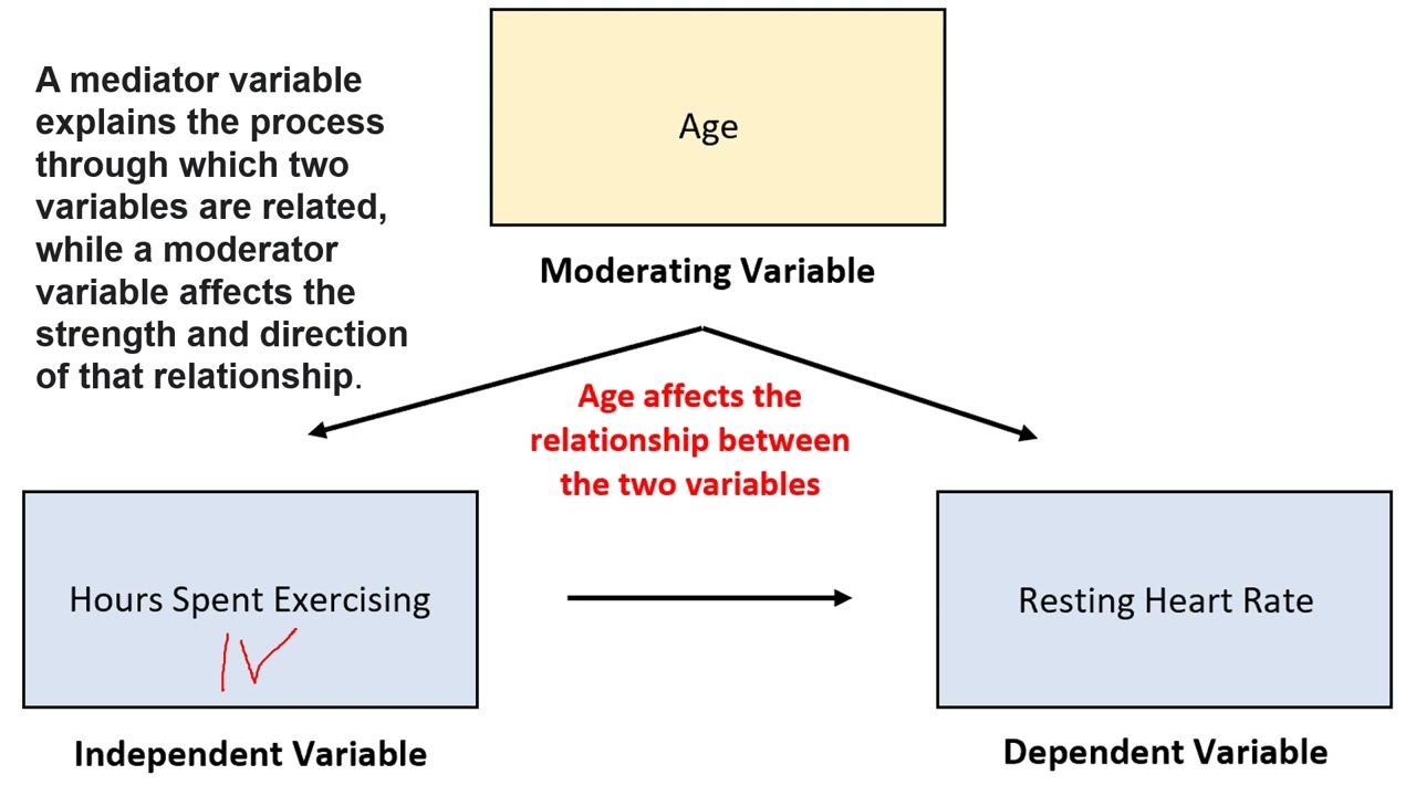 Pr2 Competency4 Youtube