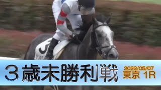 2023/05/07【パドック返し馬つき】東京1R　３歳未勝利戦　☆テンホワイトラブ　エスポワールシチー　＃レースは11分ころから