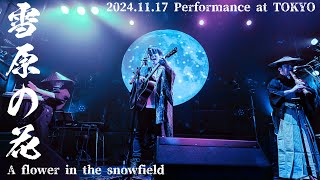 Dai Sorano × DEAD COUNT / 雪原の花 - A flower in the snowfield -