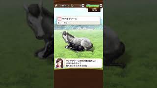 【ダビマス】無敗馬牝馬の誕生か！？