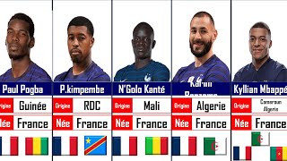 Pays d'origine des joueurs de l'équipe de France