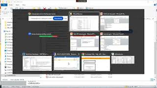 Standard Tally data extract using xml video