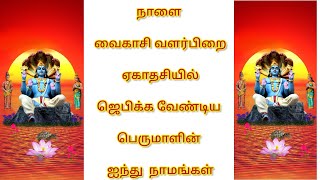 வைகாசி வளர்பிறை ஏகாதசி மந்திரங்கள்@Bhumadevi #divine