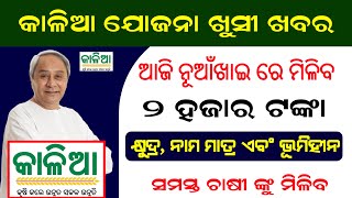 କାଳିଆ ଯୋଜନା ଖୁସୀ ଖବର ମିଳିବ ୨ ହଜାର ଟଙ୍କା || Kalia Yojana New Installment Credited Date 2023