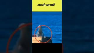 असली जलपरी कैमरा में कैद हो गया 😱 | Real Jalpari Caught On Camera | Part 1 | #shorts