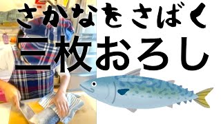 【親子料理教室−キッチンからの親子物語】誰でも簡単わかりやすい【塩鯖】さばき方 三枚おろし