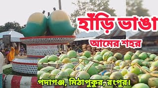 হাঁড়ি ভাঙা আমের শহর পদাগঞ্জ| Hari Vanga Aam | Hari bhanga Sam Rangpur #Mango #আম