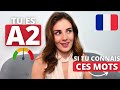 Tu es niveau A2 en français si tu connais ces mots | DELF A2