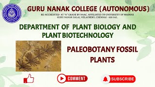 PALEOBOTANY  FOSSIL PLANTS.