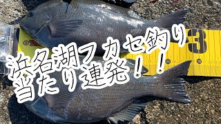 浜名湖　2020年初釣り