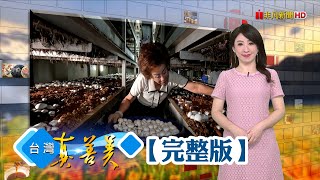 沙鹿石窯炭燒肉角 古味中創新傳承90載/賣千萬宅蓋科技菇房 種出巨無霸洋菇/皂廠第三代開發米皂 兼具環保和在地精神/棄科技白領拚創業 翻轉夕陽“手工香”產業【台灣真善美】2024.08.04✦全集✦