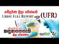 සම්පූර්ණ මුත්‍රා පරීක්ෂාව |Urine Full Report | UFR|MLTAnushika Perera #UFR #Urine Full Report