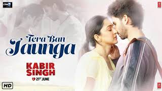 Tera Ban Jaunga | Kabir Singh | Cover Song