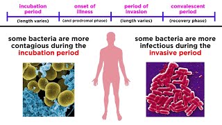 Bacterial Infections in Humans