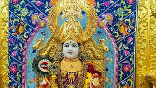 08-02-2025 શ્રી સ્વામિનારાયણ દર્શન.                            08-02-2025 shree swaminarayan darshan