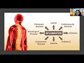 west webinar a biomimetic liposomal formulation for the targeting of inflamed vasculature