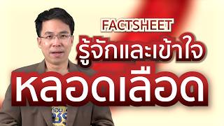 ชัวร์ก่อนแชร์ FACTSHEET : รู้จักและเข้าใจหลอดเลือด