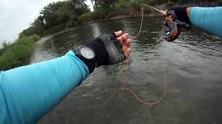 20210812flyfishing in asahikawa