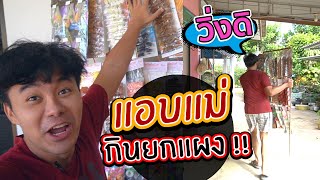 แอบแม่กินขนม ยกไปทั้งแผง !! รีวิวขนมแผง Thai snacks #ASMR #Mukbang