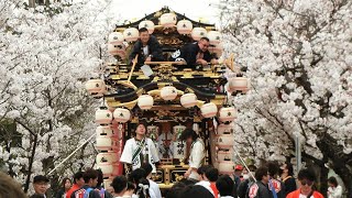 2024年 武豊町 東大高 試楽祭（知里付車 知里付神社曳き出し）