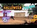 Halloween prank 🎃👻🤯😂😂🤣😅GONE WRONG pt1😑……….#Hal loween##halloweenvideos #halloween2022 #halloween2023