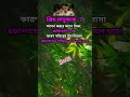 প্রিয় মানুষকে reels motivation shortvideo agriculture quotes tranding love