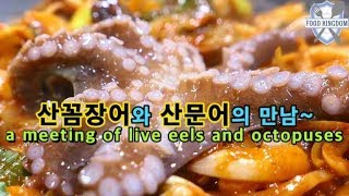 산꼼장어와 산문어의 만남 / living eels and octopuses / Korean Street Food / 길거리음식 / 부산 광안동