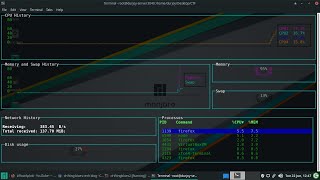Brainpan 1 - TryHackMe