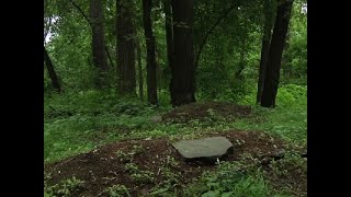 Forever Green: Cemeteries Offer Natural Burials